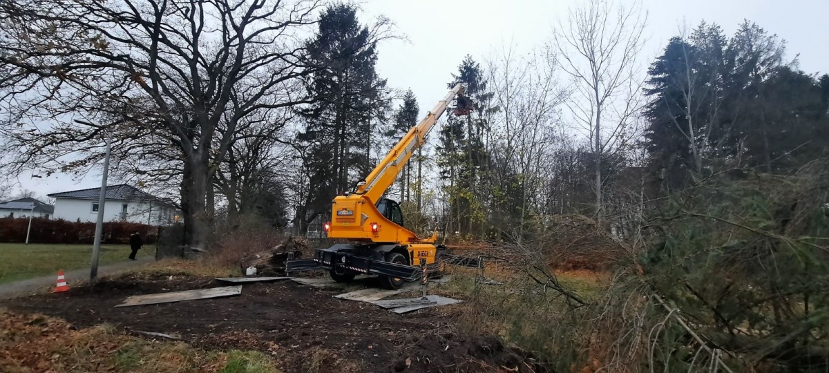 Fällkran-Einsatz in Norderstedt